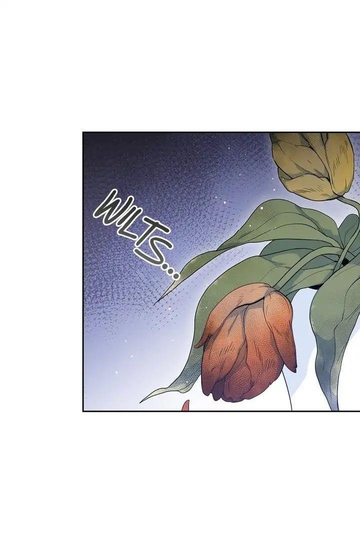 The Duchess' 50 Tea Recipes - Chapter 1 Page 40