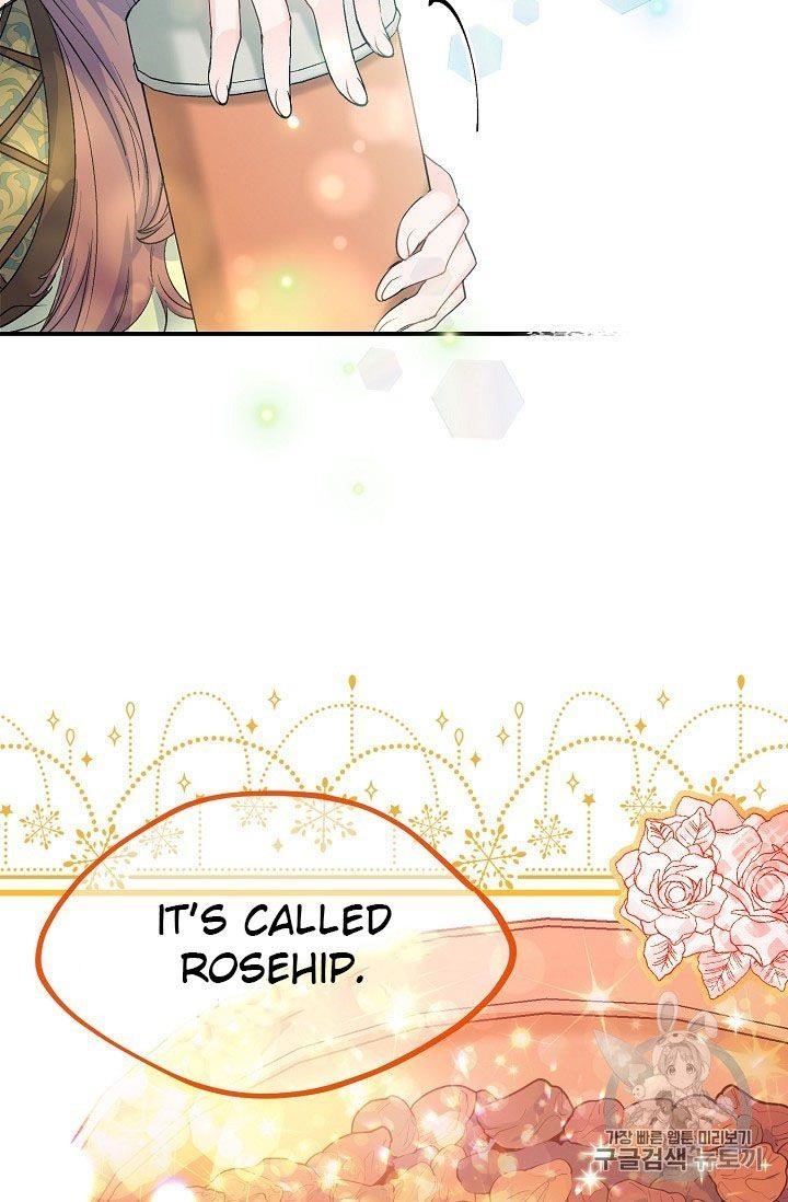 The Duchess' 50 Tea Recipes - Chapter 62 Page 3