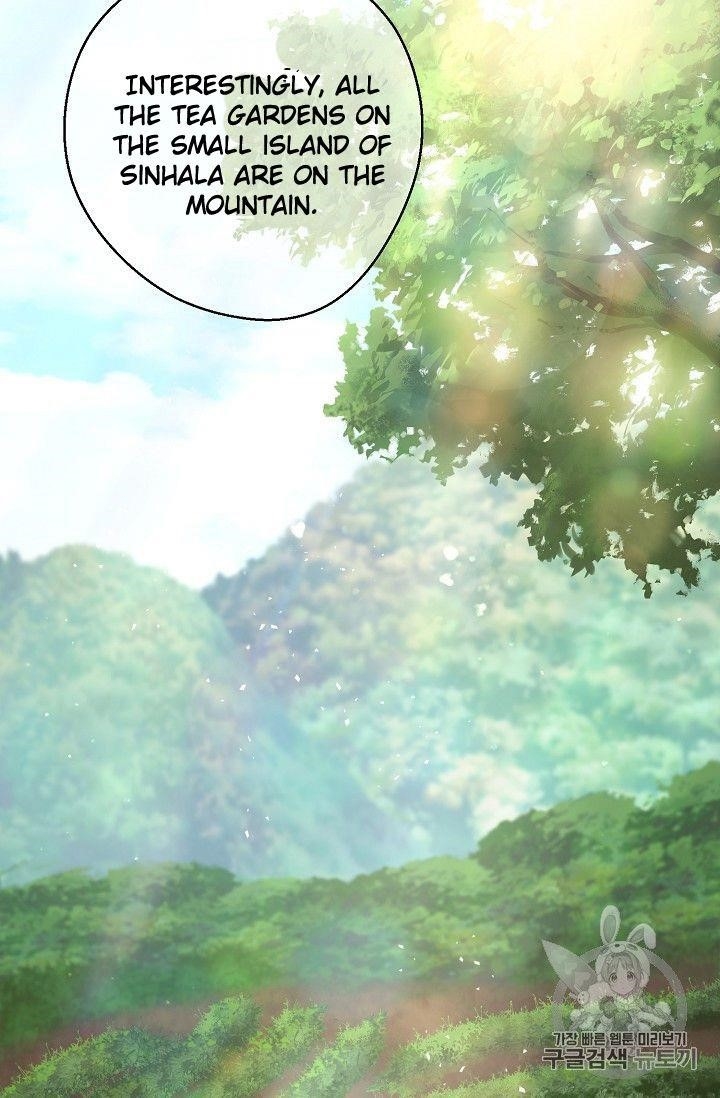 The Duchess' 50 Tea Recipes - Chapter 77 Page 18