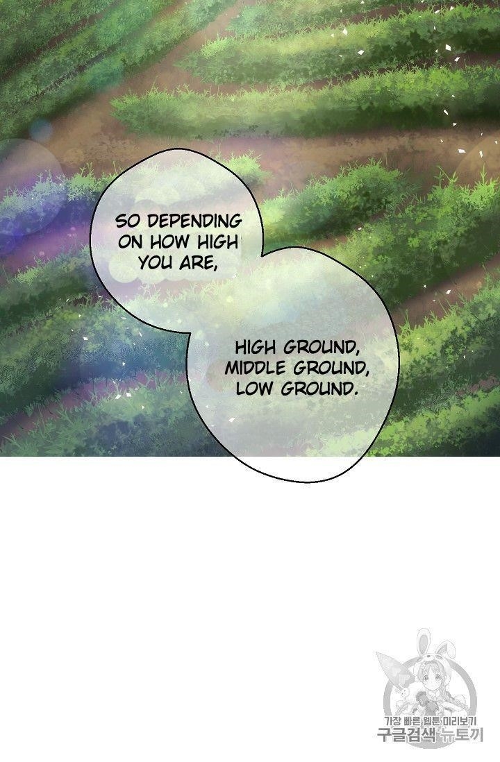 The Duchess' 50 Tea Recipes - Chapter 77 Page 19