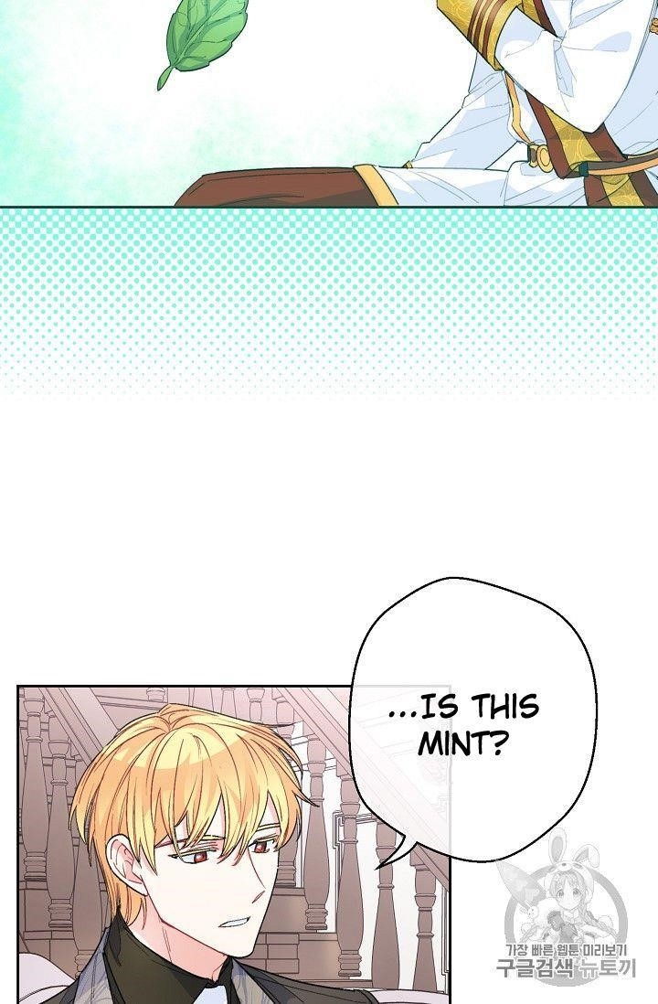 The Duchess' 50 Tea Recipes - Chapter 77 Page 38