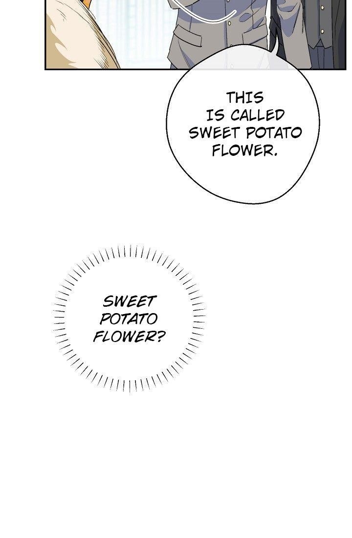 The Duchess' 50 Tea Recipes - Chapter 79 Page 64