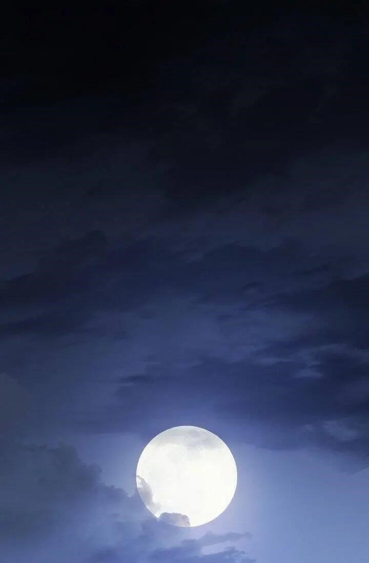 The Duchess' 50 Tea Recipes - Chapter 95 Page 1