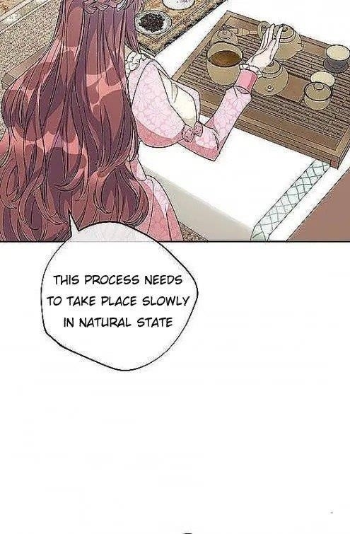 The Duchess' 50 Tea Recipes - Chapter 97 Page 39