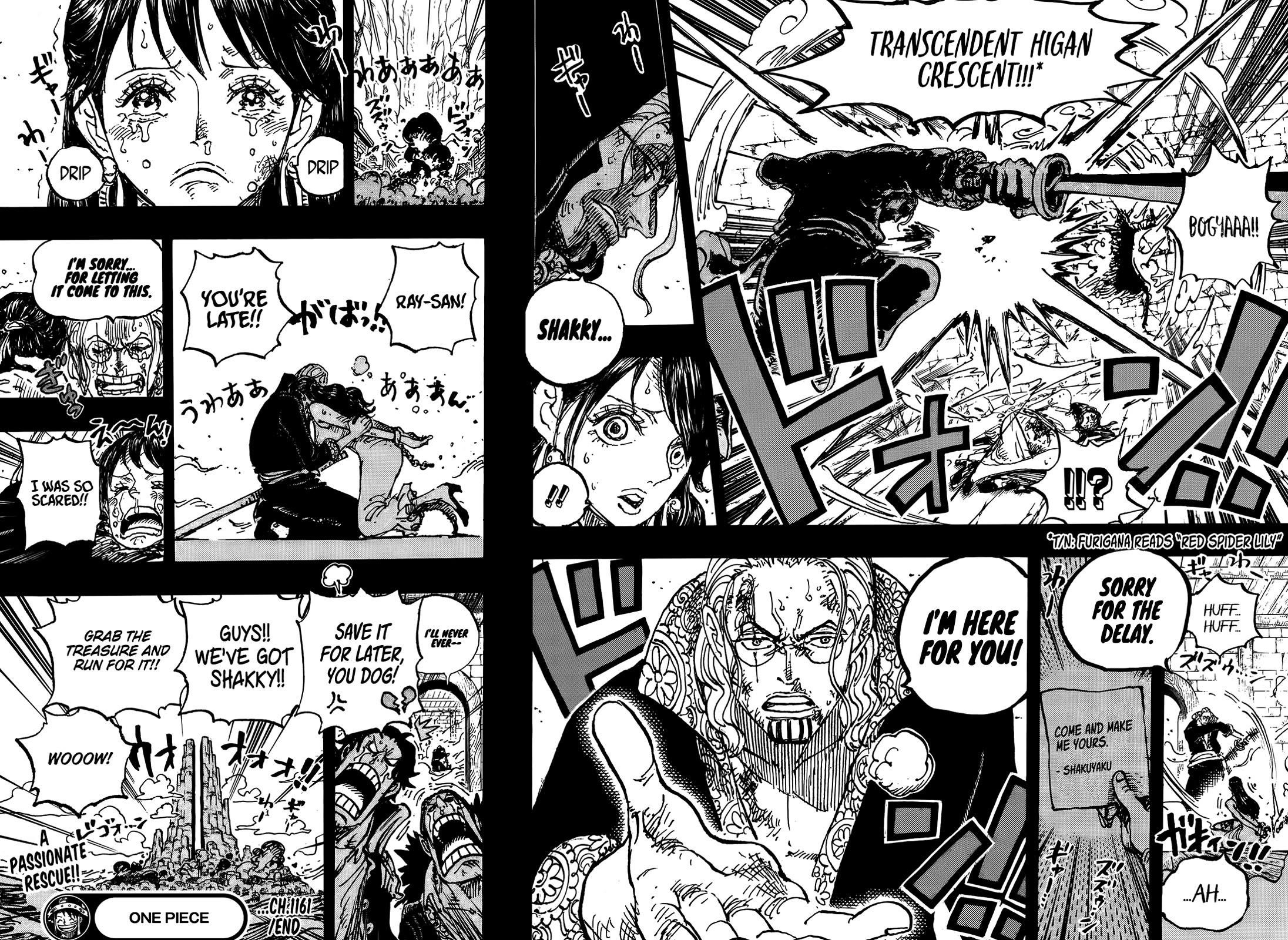 One Piece - Chapter 1161 Page 16