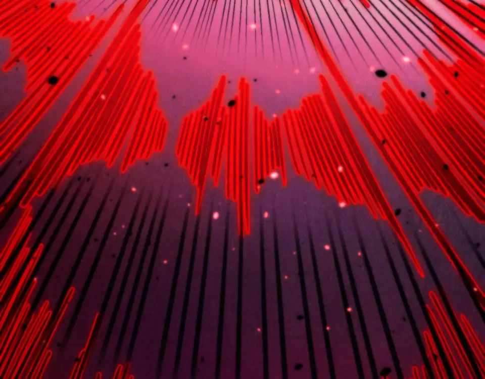 The Ultimate of All Ages - Chapter 486 Page 13