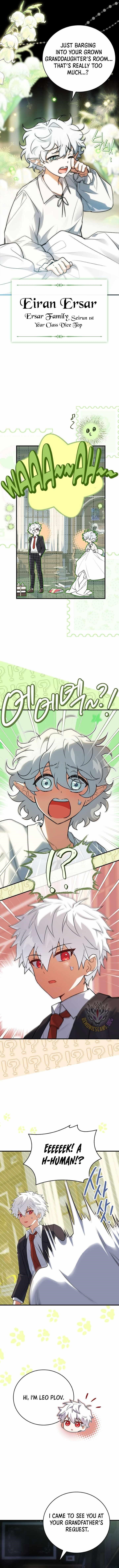 Legendary Hero Is an Academy Honors Student - Chapter 39 Page 15