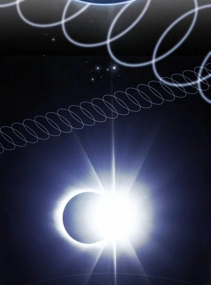 The Lady Wants to Rest - Chapter 168 Page 59