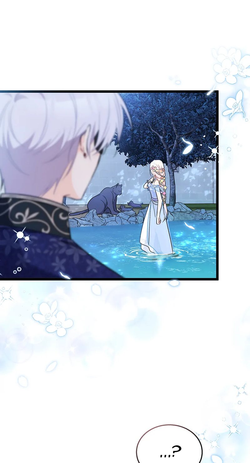 A Symbiotic Relationship Between A Rabbit And A Black Panther - Chapter 148 Page 71